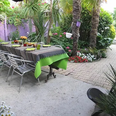 Apartment House With 2 Bedrooms In Arcachon, With Furnished Garden And Wifi - 30 *